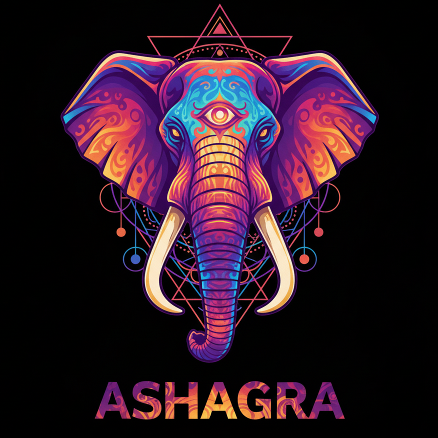 Ashagra Project Art